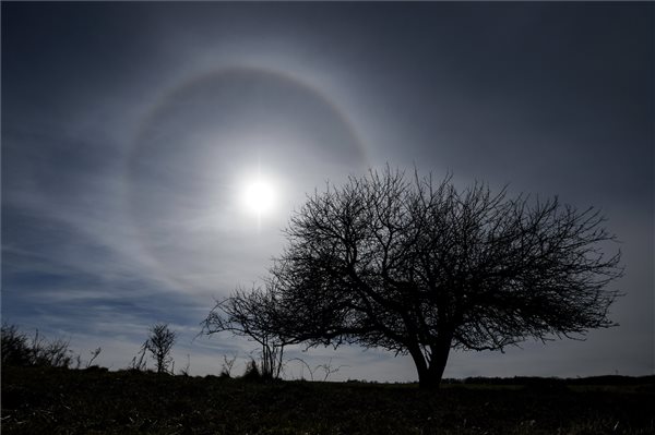 Halo