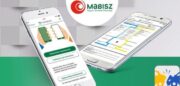 Mabisz ekarbejelemto 702x336