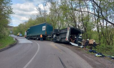 181106572 169706921707718 8825972012453889936 n