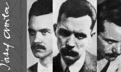 Jozsef Attila 2019 800x400