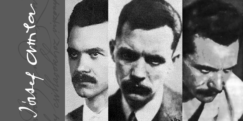 Jozsef Attila 2019 800x400