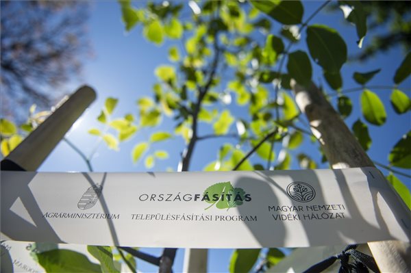 Ostoros településfásítás 1 Komka Péter MTI