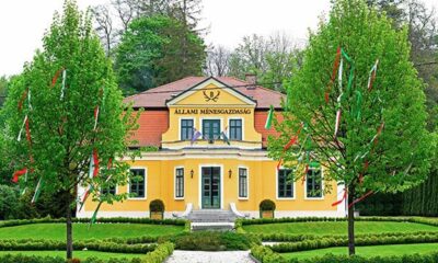 Szilvásváradi Ménes