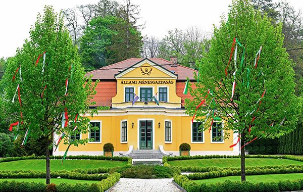 Szilvásváradi Ménes