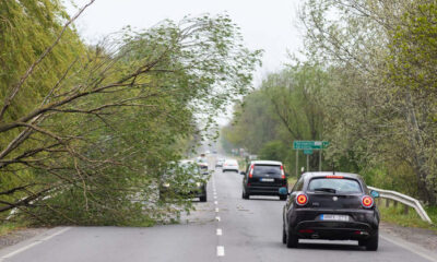 Vihar MTI/Balázs Attila