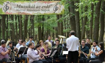 Muzsikál az erdő R