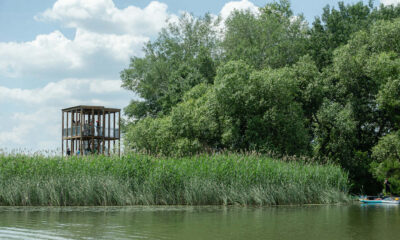 Tisza tavi kilato