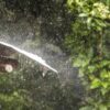 Heavy rain downpours on tin room shelter.