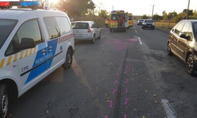 447CB14B EEED 47EC BD10 B2B9FFA71D7F