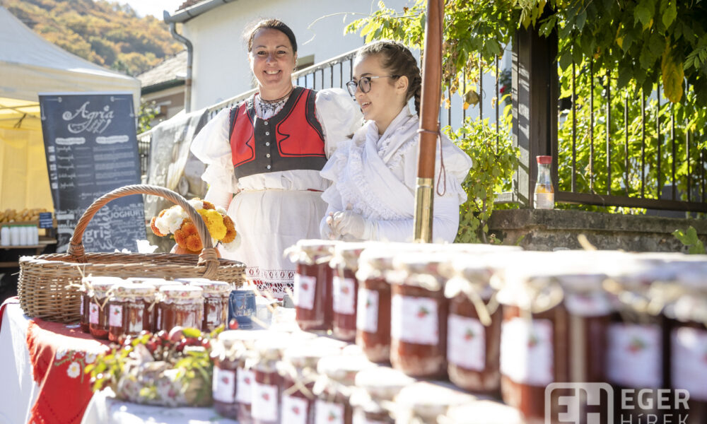 D2I6410