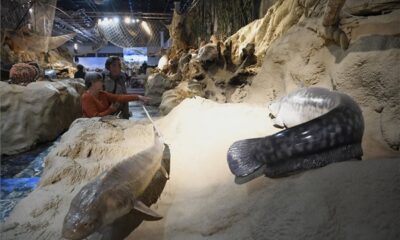 Vadászati világkiállítás