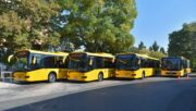 Busz