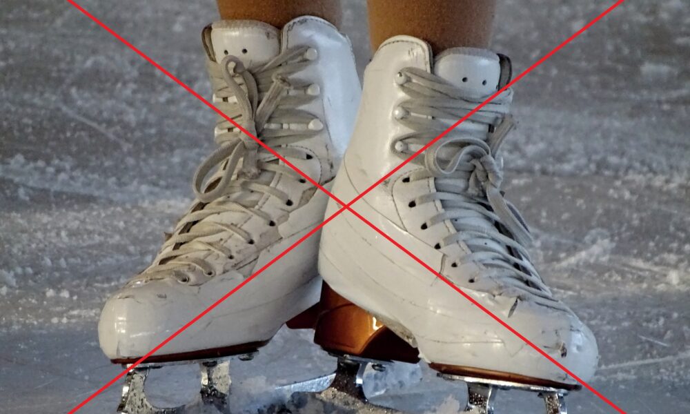 Skates g9bc9dddda
