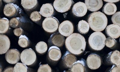 AA217FE9 D449 4F72 AA97 D5FBCCAADA02