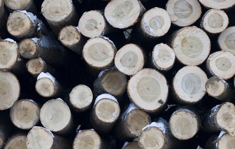 AA217FE9 D449 4F72 AA97 D5FBCCAADA02