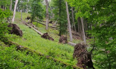Forras erdorezervatum.hu oldal