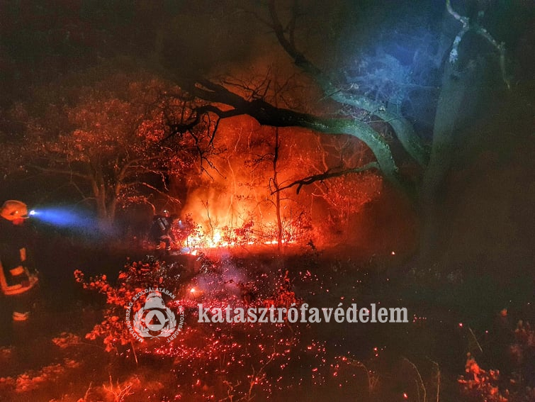 Határ tűz