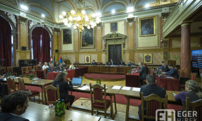 Közgyűlés