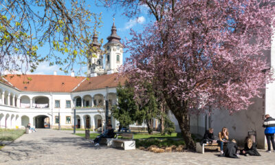 Eger erzsébet udvar