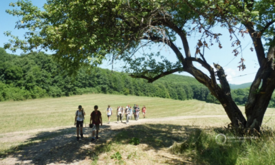 Képernyőfotó 2022 04 08 14.40.55