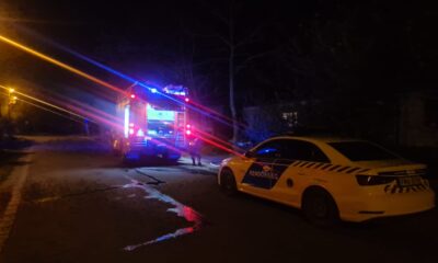 279914445 957317201554599 4123949140239473269 n