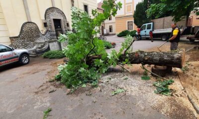 Kettétört fa megyeháza