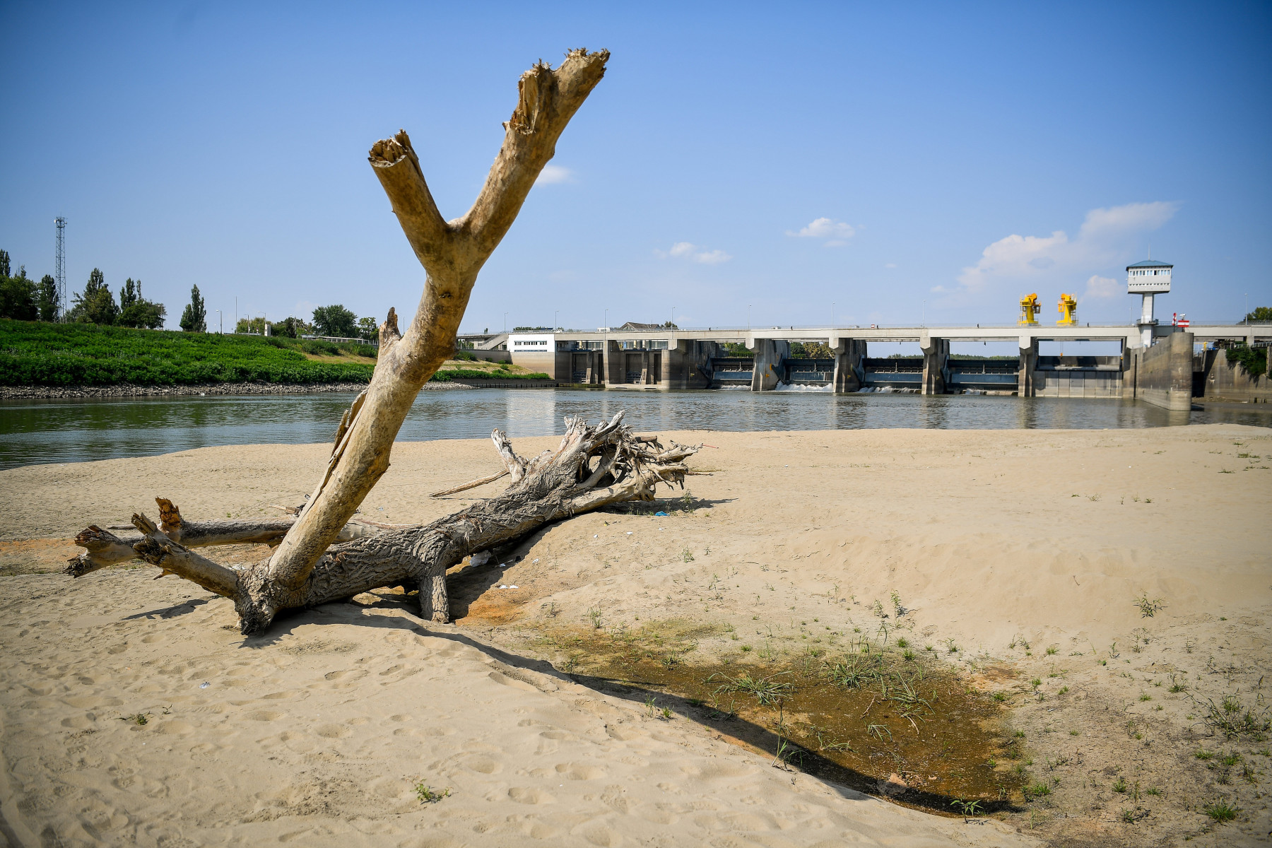 Tisza
