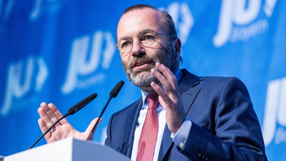 680339 weber