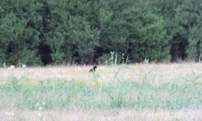 9D7FDEF1 9F22 40DC B355 0F97445F8E6B