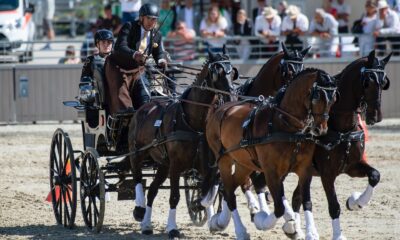 Szilvásvárad Masters