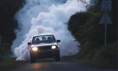 Szunyogirtas autorol