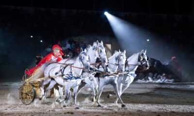 240263447 4186008271447083 555617749186231333 n