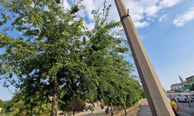 296477567 5373548322692578 1356910883184806945 n