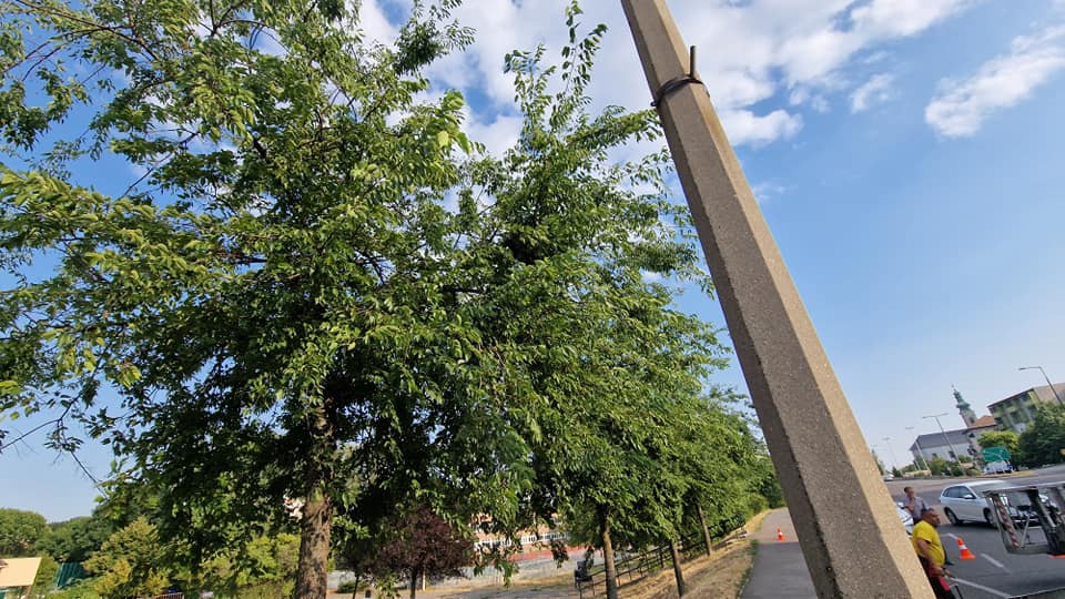 296477567 5373548322692578 1356910883184806945 n