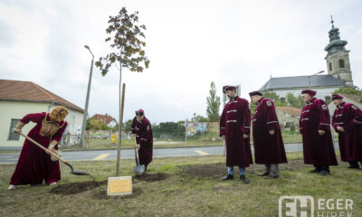 Faültetés Thummerer Vilmos emlékére