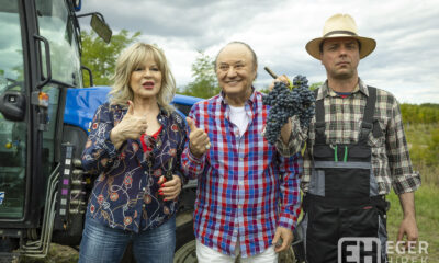 Közéleti szüret Fotó: Nemes Róbert