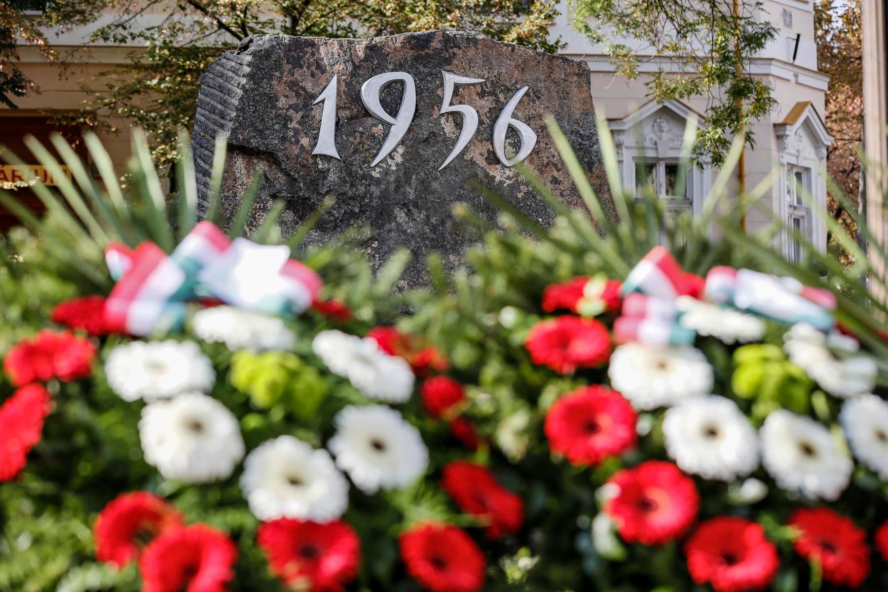 305124820 375639654746381 1362399996633857752 n (1)