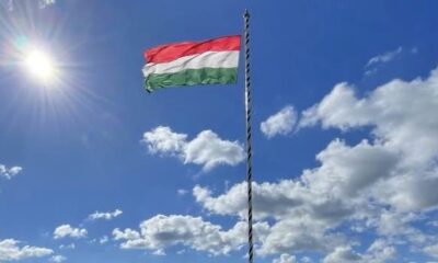 D7E2A6A3 CC82 41B9 9B50 DD549081BED6