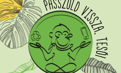 Passzold vissza teso LI 800x600 px 1024x768