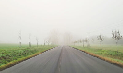 24139 Nagyréde 2 (1)