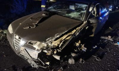 3A62C6B4 F5D1 4EC1 96C1 F781CA214CD7