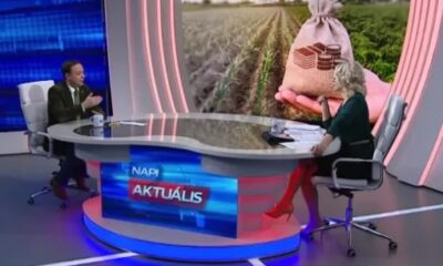 Nyitrai földadó hírtv