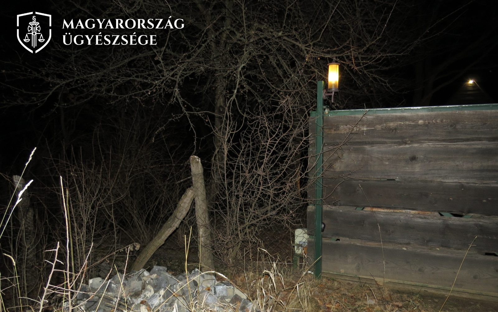 Kutya 1 logó