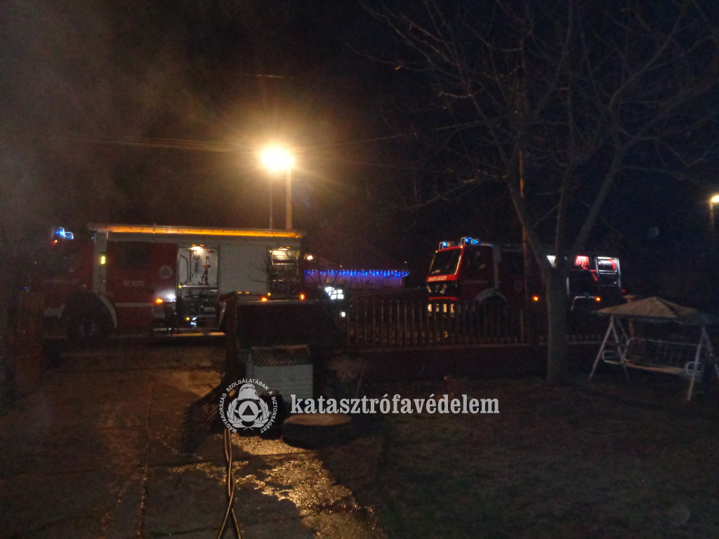 Tűz Rózsa