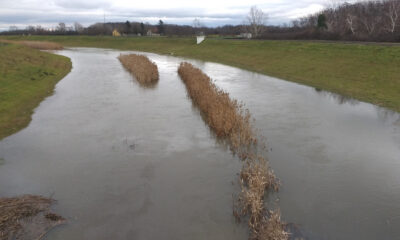 Napszava 20230118120937.jpg 2023 01 18 12 23