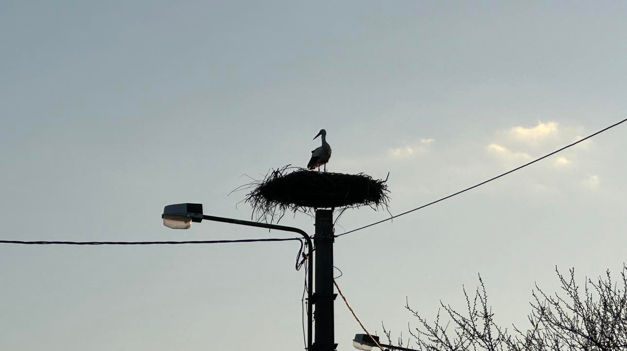 336383521 223828316845652 5642390540634945686 n