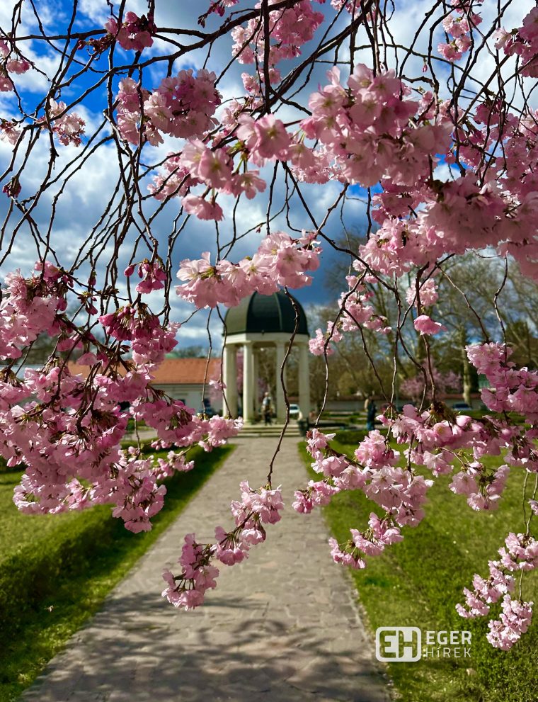 Szent József Park