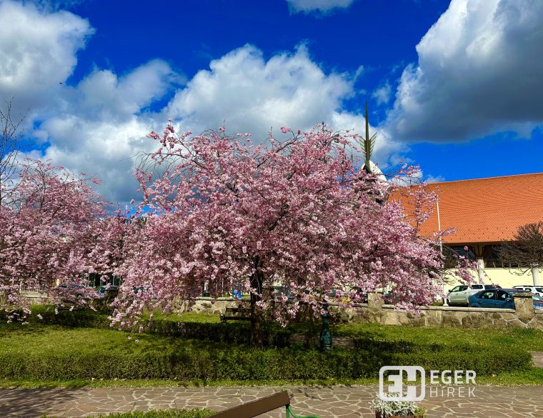 Szent József Park
