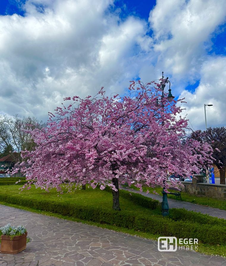 Szent József Park