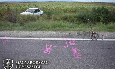 Kormány baleset 1 logó